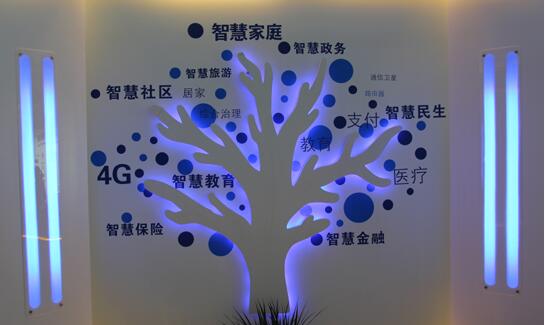 2017廣州智慧城市發展