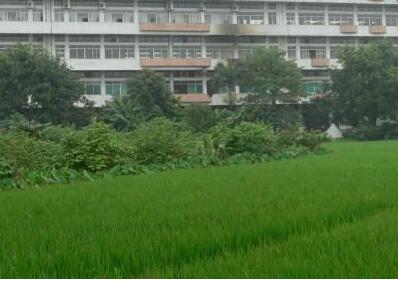 注冊(cè)工貿(mào)公司